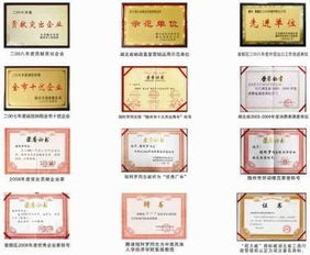 ISO9001 的核心作用及其在企業(yè)中的實際應(yīng)用